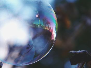 Close-up of bubbles against blurred background