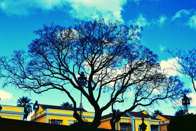 Low angle view of bare trees against blue sky