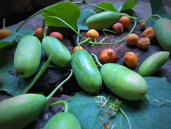 Close-up of fruits