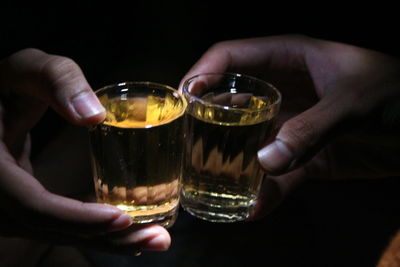 Cropped image of man holding wineglass