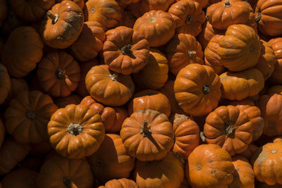 Full frame shot of pumpkins