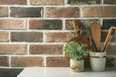 Close-up of potted plant against brick wall