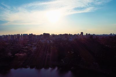 Aerial view of ibirapuera's park in the beautiful day, são paulo brazil. great landscape.