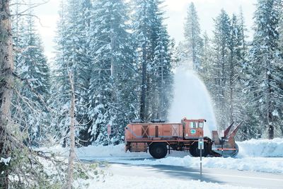 Snow covered road in forest