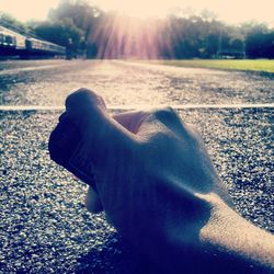 sunlight