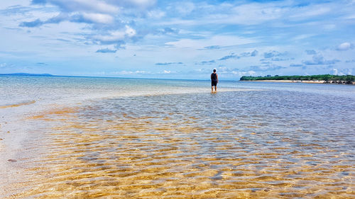 Rear view of man on beach against sky