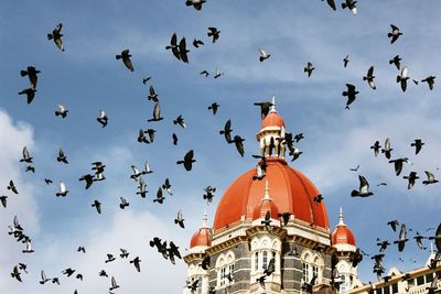 Low angle view of birds flying by historic building against sky