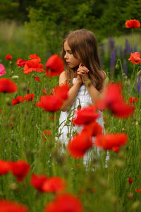 Portrait of a cute 6 year old girl wearing a white summer cotton dress, posing in the poppy field