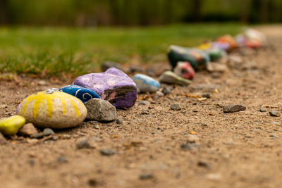 Close-up of stones on field