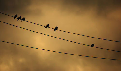 Low angle view of silhouette birds flying against sky