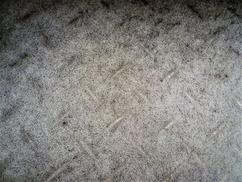 Full frame shot of textured surface