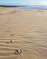 High angle view of footprints on beach