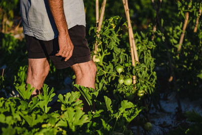 Midsection of man standing by plants