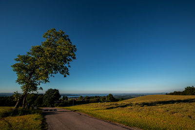 Dirt road amidst grassy field against clear blue sky on sunny day