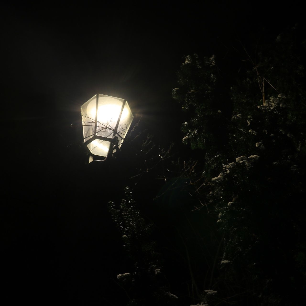 LOW ANGLE VIEW OF ILLUMINATED LAMP AT NIGHT