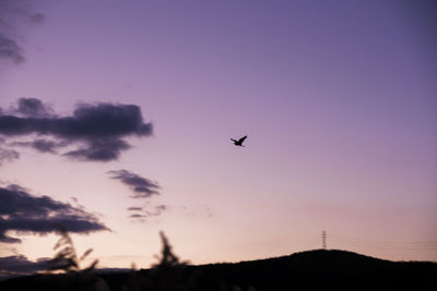 Low angle view of silhouette birds flying in sky