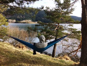 Man sitting by lake in forest