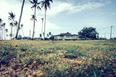 Scenic view of field against cloudy sky