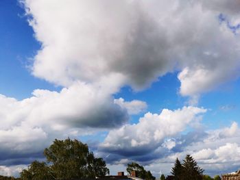 Low angle view of trees and building against sky