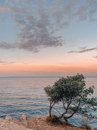 Scenic view of sea against sky during sunset