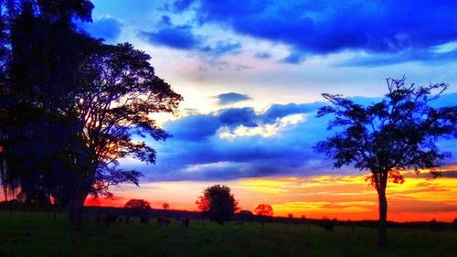 Silhouette of trees on landscape against cloudy sky