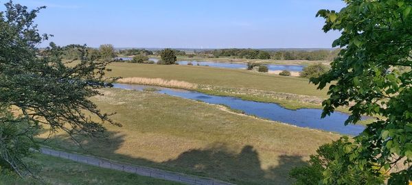 Scenic view of agricultural field against sky
