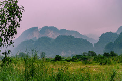 Scenic view of landscape and mountains against sky
