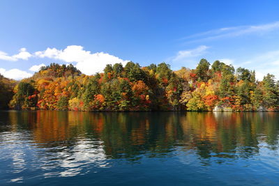 Scenic view of lake by trees against sky