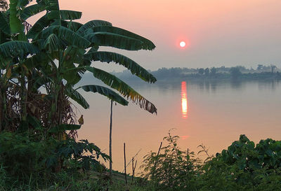 Scenic view of lake during sunset