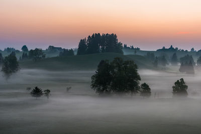 Trees on landscape against sky during sunset