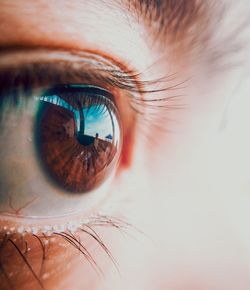 Close-up of human eye