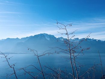 Bare tree and mountains against sky