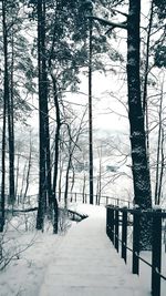 Trees on snow covered landscape against sky