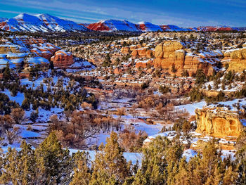 Scenic view of snow covered landscape