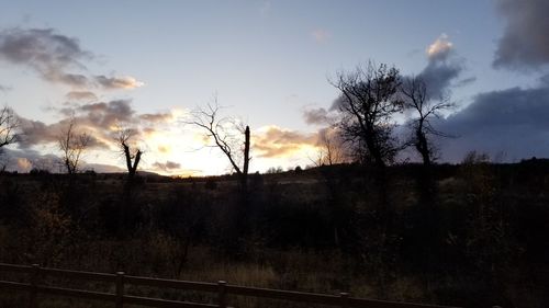 Bare trees on landscape against sky