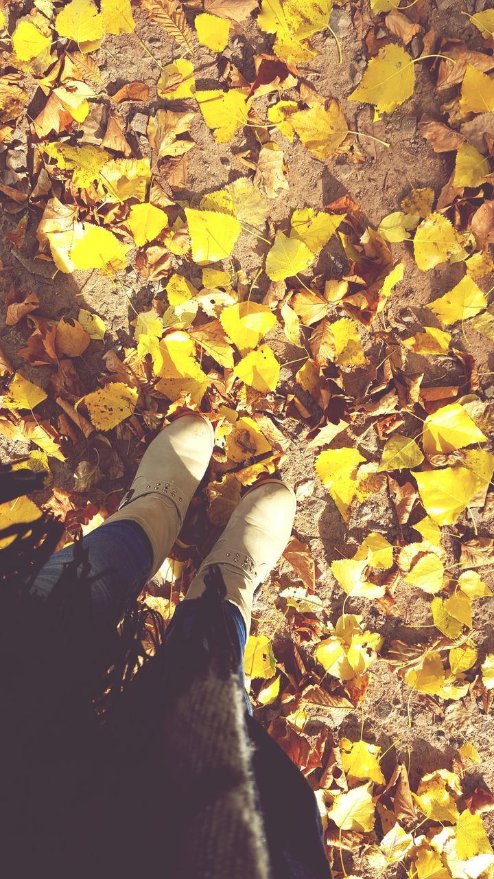 leaf, yellow, autumn, high angle view, low section, change, personal perspective, season, unrecognizable person, lifestyles, nature, shoe, person, leaves, outdoors, standing, sunlight, day