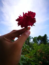 Close-up of woman holding flower