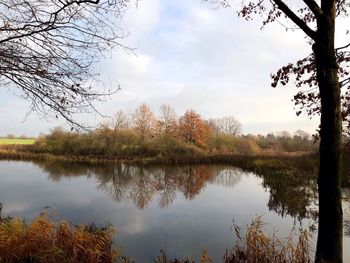 Reflection of trees in lake against sky