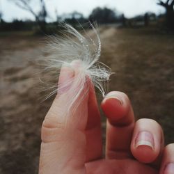 Close-up of hand holding leaf