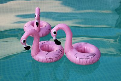 High angle view of stuffed toy in swimming pool