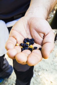 Dried fruit in the hand of a person