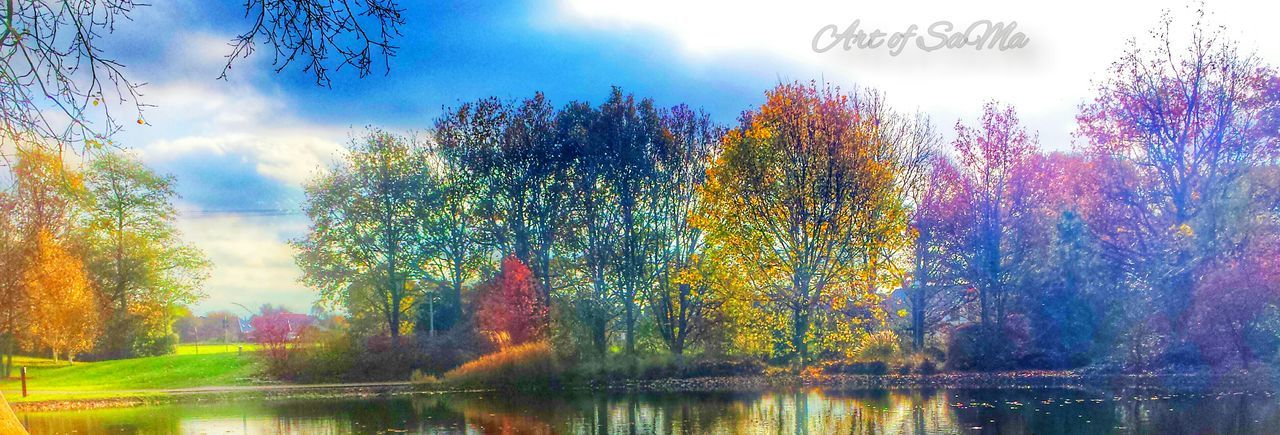 reflection, water, tree, sky, lake, waterfront, tranquility, tranquil scene, cloud - sky, beauty in nature, nature, scenics, cloud, growth, idyllic, autumn, outdoors, day, no people, cloudy