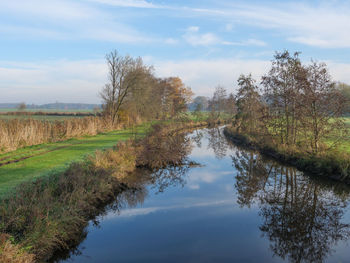 Scenic view of trees on landscape against sky