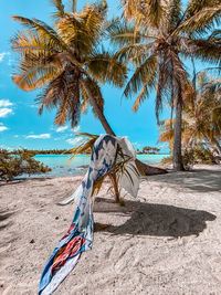 Low angle view of pareo with coconut trees on beach