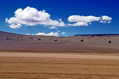 Scenic view of desert against sky