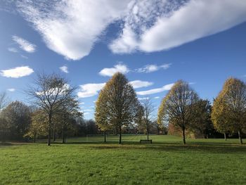 Trees on field against sky