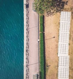 High angle view of tree by sea