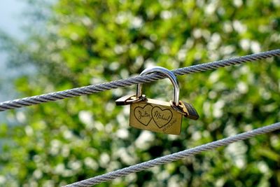 Close-up of love locks hanging on steel cable