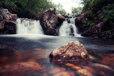 Scenic view of waterfall in forest