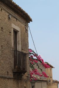 Low angle view of red flowers